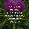 Natural Detox Strategies to Counteract Coumarin Toxicity (ebook)