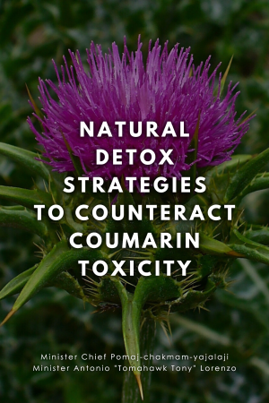 Natural Detox Strategies to Counteract Coumarin Toxicity (ebook)